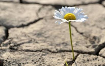 Building Personal Resilience: Managing Anxiety and Mental Health