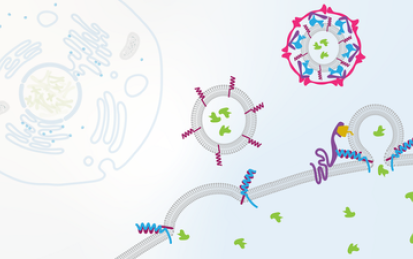 Cell Biology: Transport and Signaling