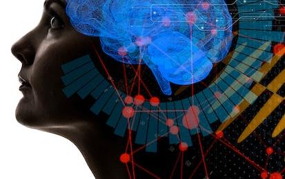 Biohacking Your Brain's Health