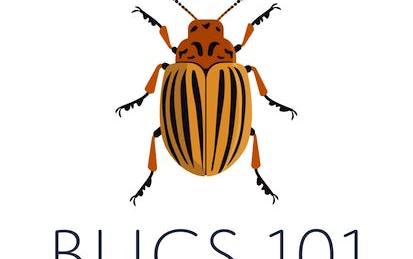 Bugs 101: Insect-Human Interactions