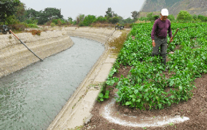 Irrigation Efficiency: more food with less water