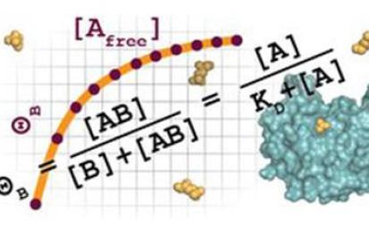 Quantitative Biology Workshop