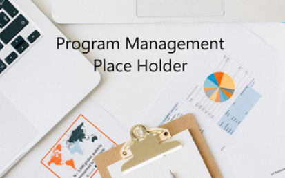 The Program Management Office (PMO) - The Strategy Execution Arm