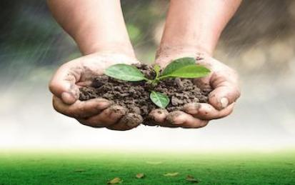 Sustainable Soil Management: Soil for life