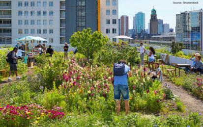 Urban Rewilding: Restore Your Local Ecosystem