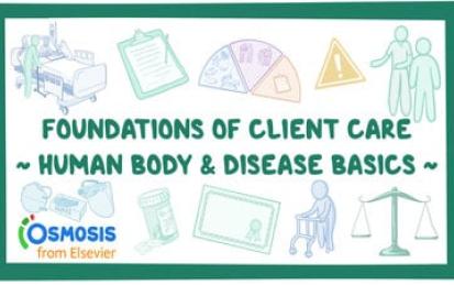 Foundations of Client Care 1: Human Body and Disease Basics