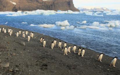 Antarctica in a Changing Climate