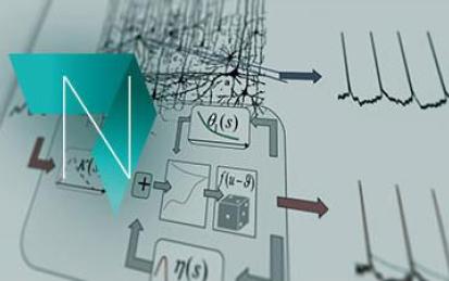 Neuronal Dynamics