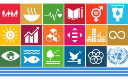 The UN Sustainable Development Goals: an Interdisciplinary Academic Introduction