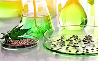 Cannabis Compliance, Testing, and Research