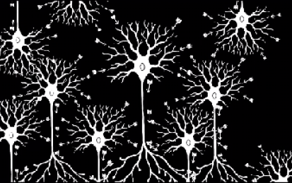 Fundamentals of Neuroscience, Part 2: Neurons and Networks