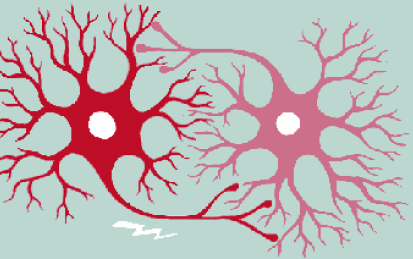 Fundamentals of Neuroscience, Part 1: The Electrical Properties of the Neuron