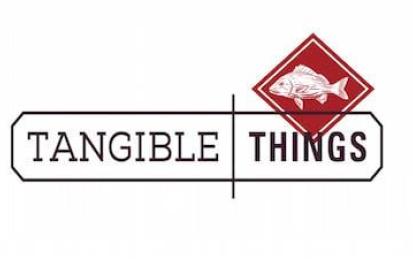 Tangible Things: Discovering History Through Artworks, Artifacts, Scientific Specimens, and the Stuff Around You